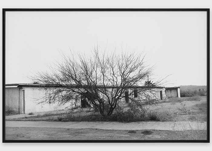 Kelly Akashi's First Museum Solo Show | Otis College